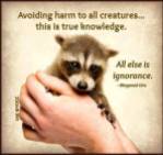 Animal abuse - Avoiding harm