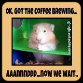 Animal abuse - Coffee brewing