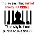 Animal abuse - Crime why not punished like