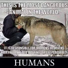 Animal abuse - Dangerous most in the world