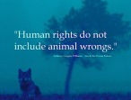 Animal abuse - Human rights do not include animal wrongs