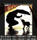 Animal abuse - In a world that couldn't care less, be a person 2