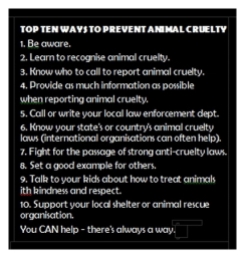 Animal abuse - Pics Top 10 ways to prevent animal cruelty looks away part of problem