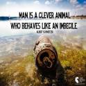 Animal abuse - Stupidity man clever animal behaves like imbecile
