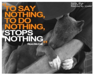 Animal abuse - To Say Nothing