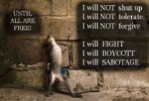Animal abuse - Truth rebel I will boycott