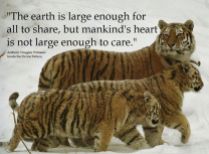 Animal abuse - World is large enough to share