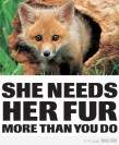 Fur and skin trade - Fox 02 She needs her fur more than you do