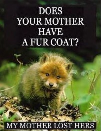 Fur and skin trade - Fox 05 does your mother have a fur coat
