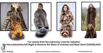 Fur and skin trade - Fur coats and animals