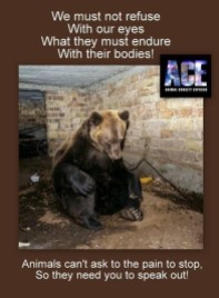 Fur and skin trade - Pics bear we must not refuse with our eyes