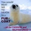 Fur and skin trade - Seal kill for fur coat