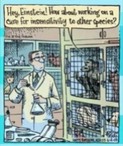Laboratory testing - Cartoon hey Einstein working on sensitivity to others USE