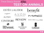 Laboratory testing - Companies that test on animals 02