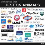 Laboratory testing - Companies that test on animals 03