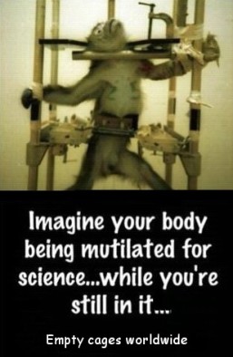 Laboratory testing - Imagine your body being mutliated
