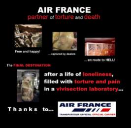 Laboratory testing - Monkeys Air France