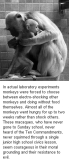 Laboratory testing - Monkeys rather starved