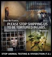 Laboratory testing - Please stop torturing us