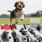 Laboratory testing - Wrong and right