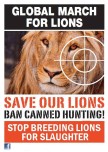 Lions - Poster for canned hunting 07