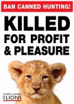 Lions - Poster for canned hunting 09
