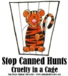 Lions - Poster for canned hunting 12