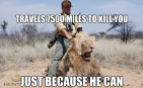 Lions - Travels to kill because can