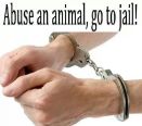 Message - Abusers an animal go to jail