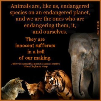 Message - Abusers animals innocent sufferers
