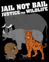 Message - Abusers bail not jail justice for wildlife