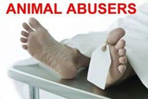 Message - Abusers body on a mortuary slab