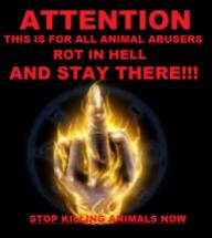 Message - Abusers finger flame stop kiling rot in hell