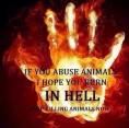 Message - Abusers hand fire