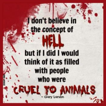 Message - Abusers hell don't believe in but full of animal Abusersrs