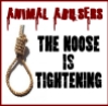 Message - Abusers noose is tightening