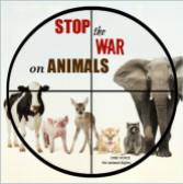Message - Abusers stop the war on animals