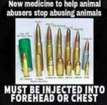 Message - Animal abuser gun