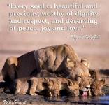 Message - Lions that every soul worthy of dignity