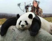 People places companies - Melissa Bachman with panda