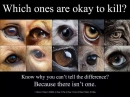 Trophy hunters - Eyes kill which ones are ok to