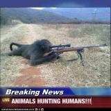 Trophy hunters - Revenge animals hunting humans