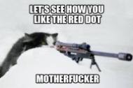 Trophy hunters - Revenge shoot red dot see how you like