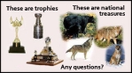 Trophy hunters - Trophy and animals know the difference