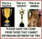 Trophy hunters - Trophy and lion difference 01
