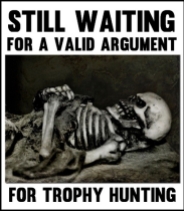 Trophy hunters - Waiting skeleton 10 coffin 1