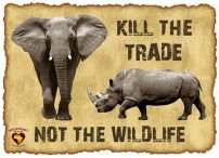 Wildllife - Kill the trade
