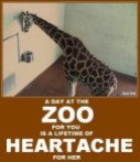 Zoo 08 Message - Zoo