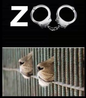 Zoo 09 Message - Zoo handcuffs