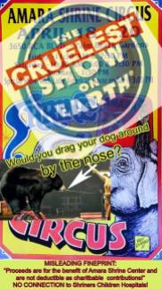 Zoo 10 Message - Circuses
